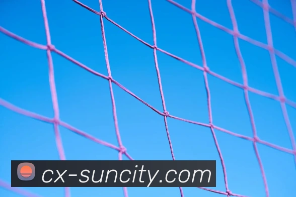 澳门太阳城APP 封面图